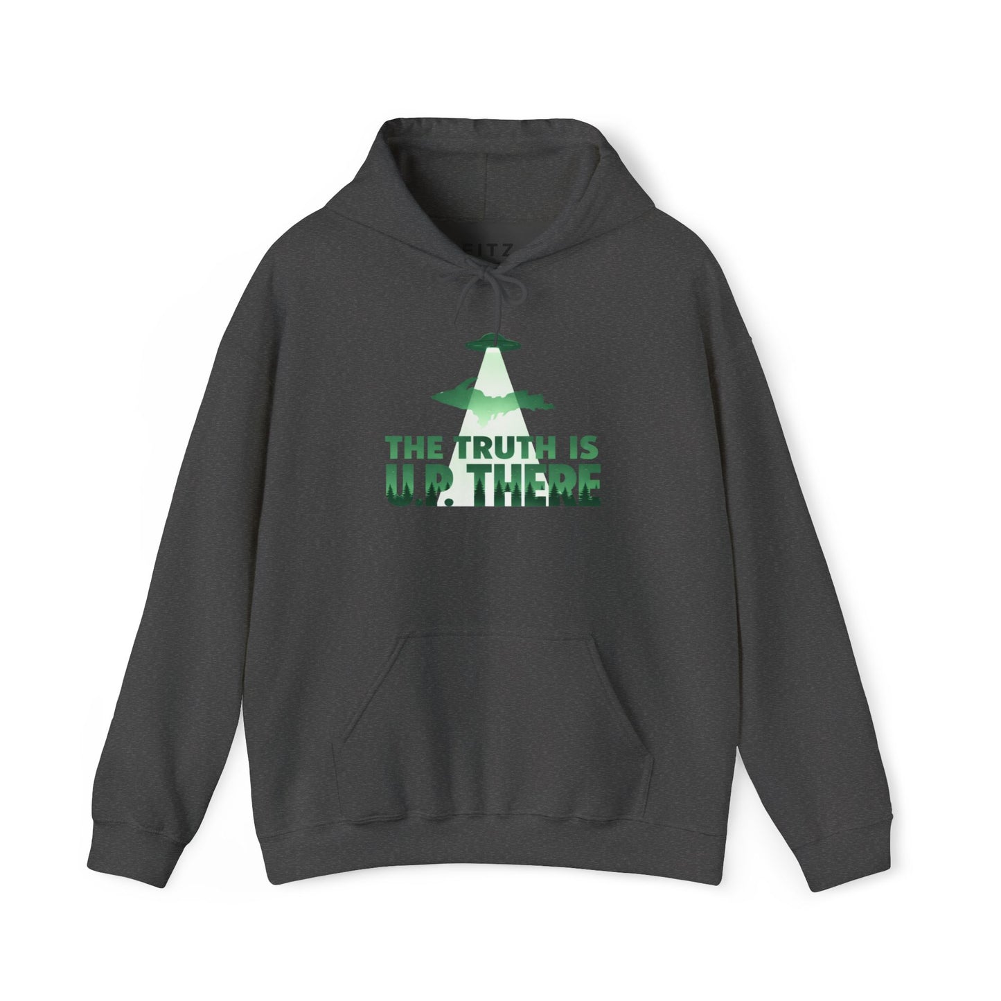 The Truth is U.P There Hoodie