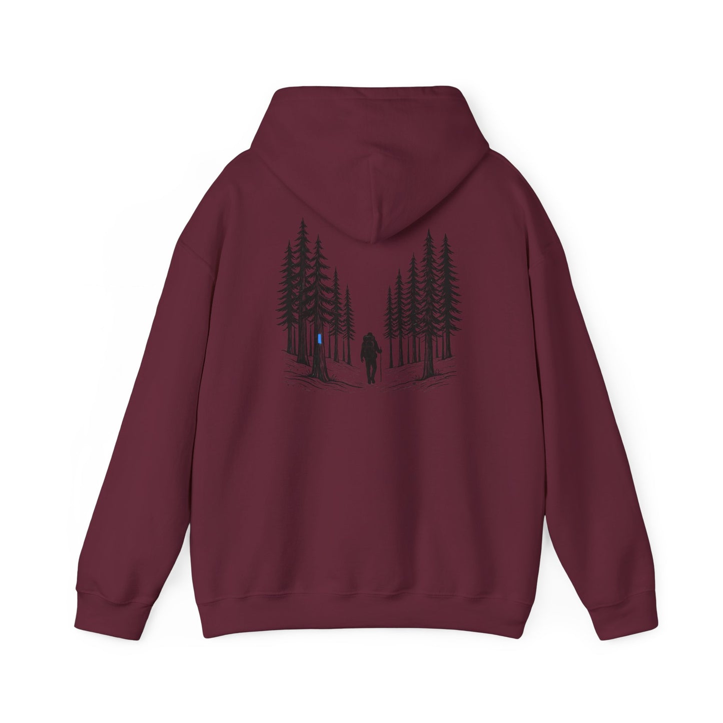 Find Your North NCT Hoodie
