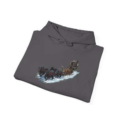 Winter Run Hoodie