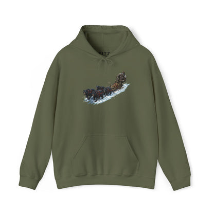 Winter Run Hoodie