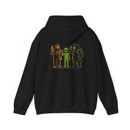 We Come In Peace Hoodie - Back Print