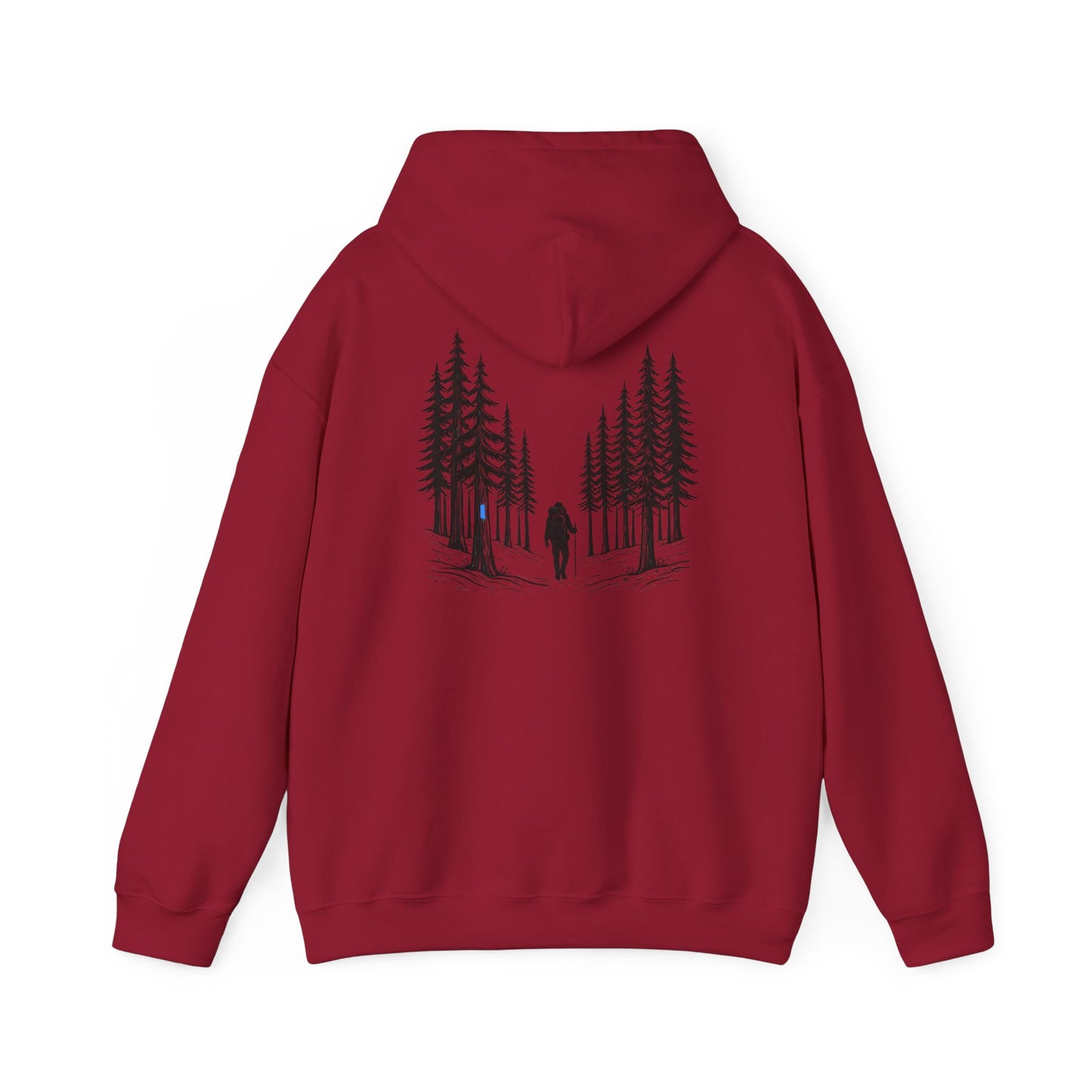 Find Your North NCT Hoodie