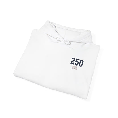 250 Years of Freedom Hoodie - Back Print