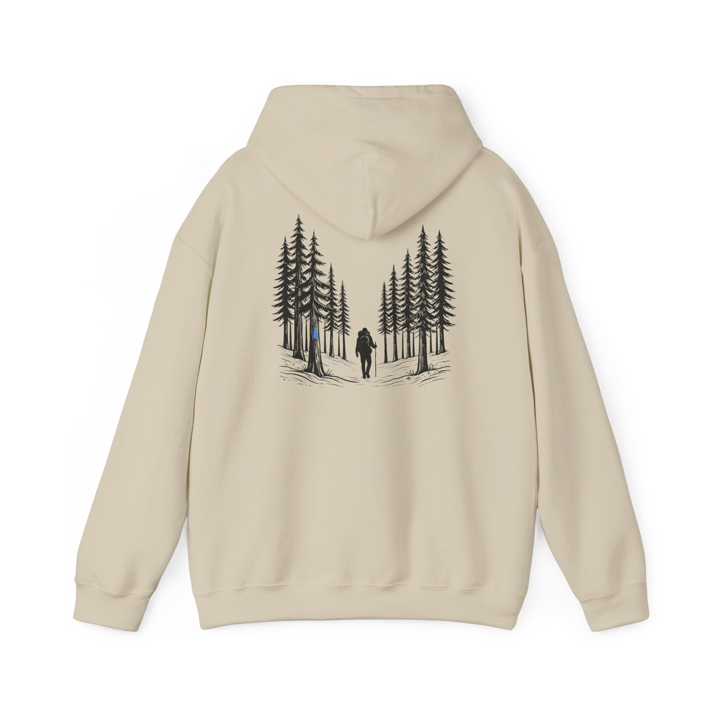 Find Your North NCT Hoodie