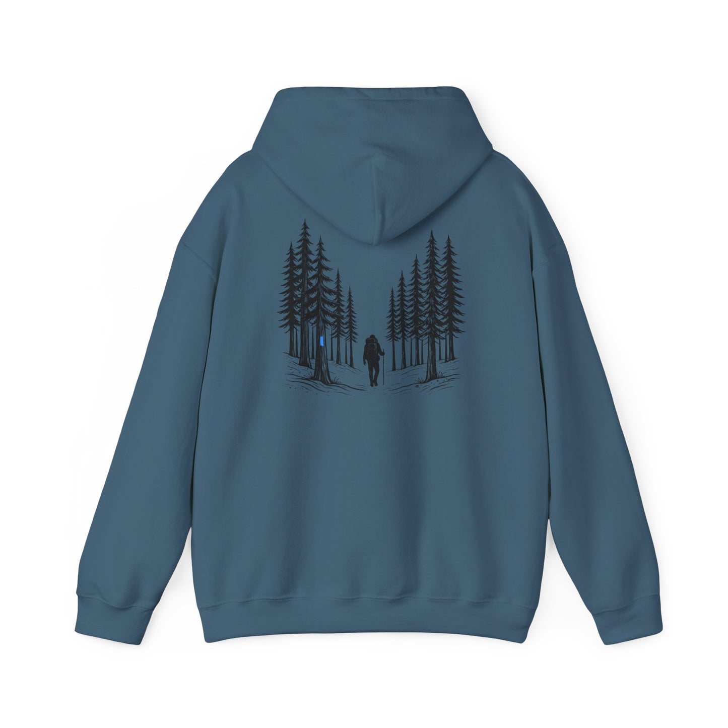 Find Your North NCT Hoodie