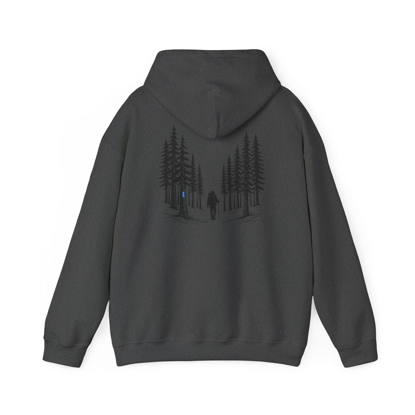 Find Your North NCT Hoodie
