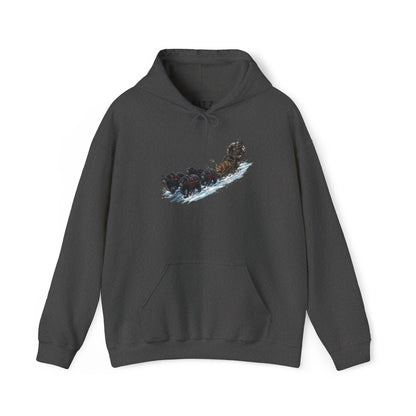 Winter Run Hoodie