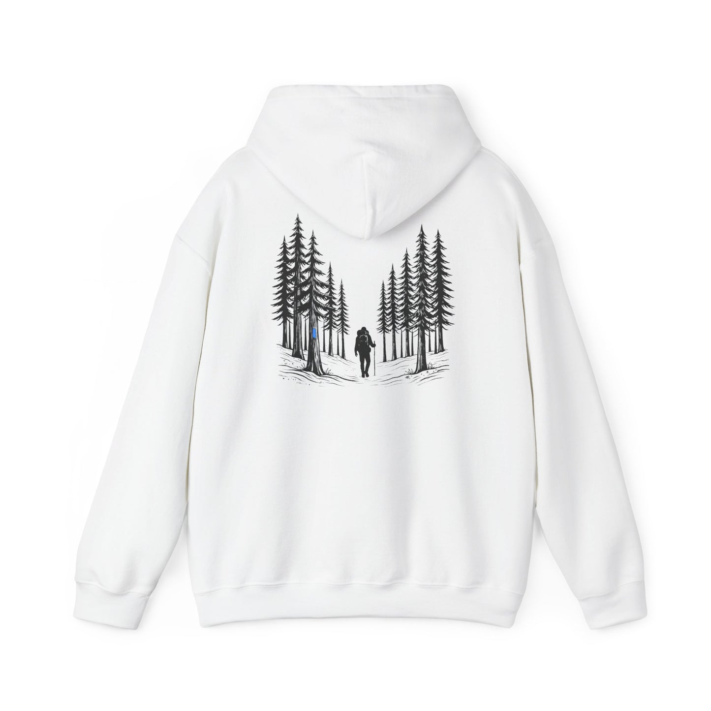 Find Your North NCT Hoodie