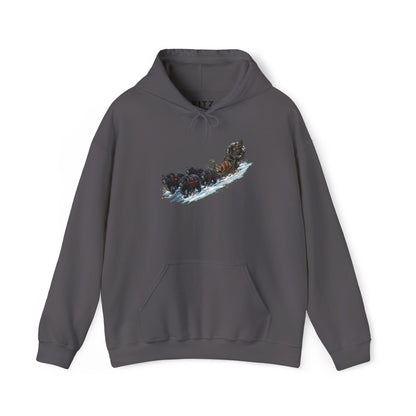 Winter Run Hoodie