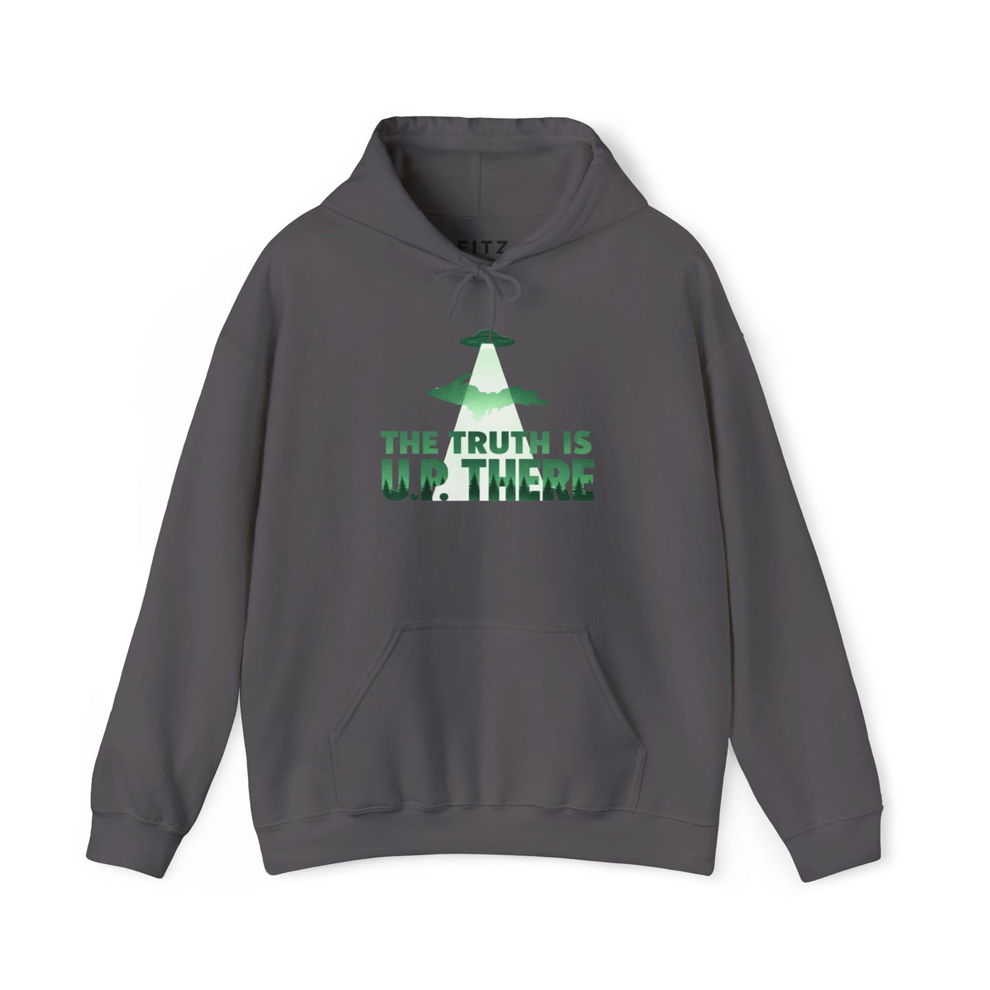 The Truth is U.P There Hoodie