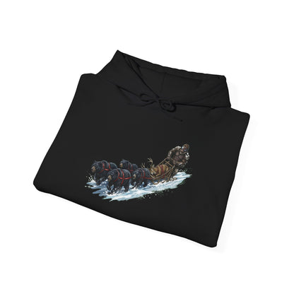 Winter Run Hoodie