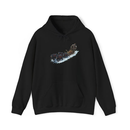 Winter Run Hoodie