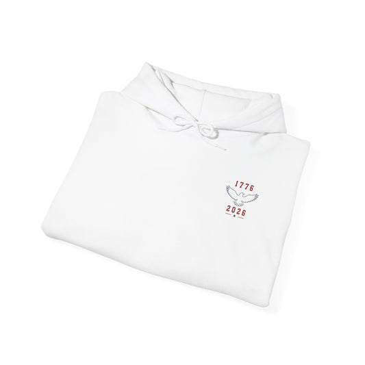 USA 250 Hoodie - Back Print