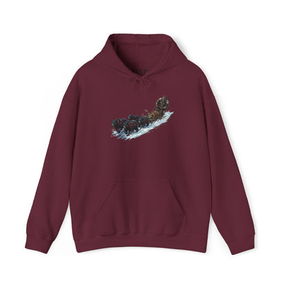Winter Run Hoodie