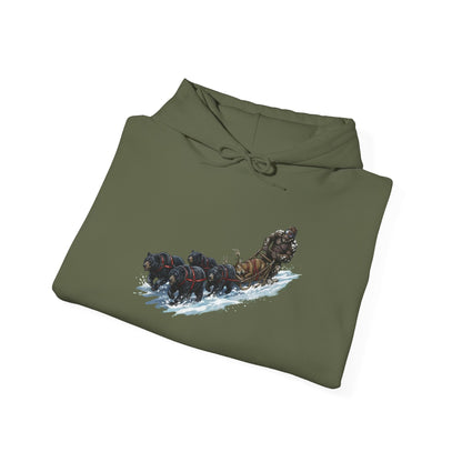 Winter Run Hoodie