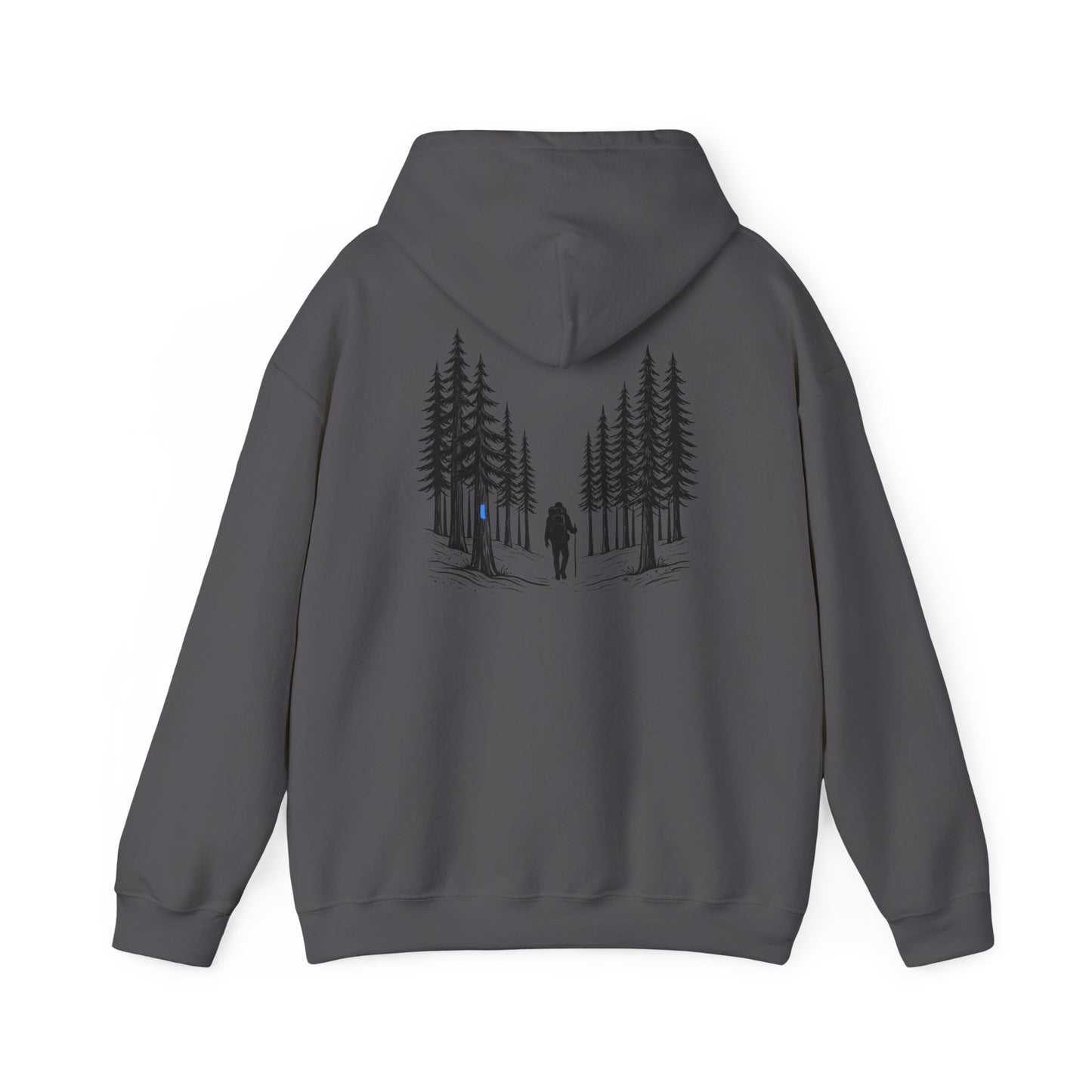 Find Your North NCT Hoodie