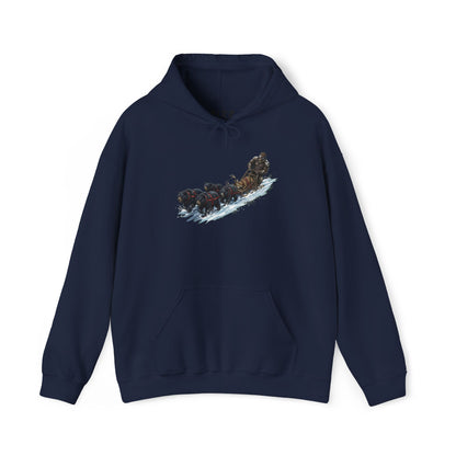 Winter Run Hoodie